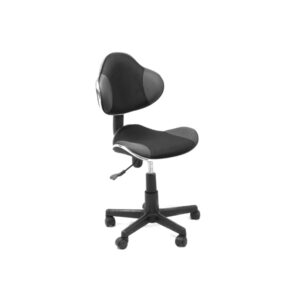 Silla secretarial XTech Cannes